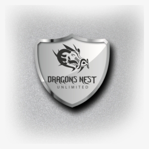 Dragon Nest Logo Png #2357400