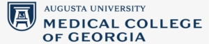 Medical College Of Georgia - Augusta University Hull College Of Business #2358129