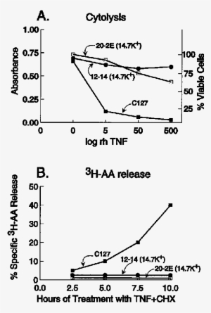 The E3 - Diagram #2359380