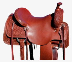 Saddle #2359765