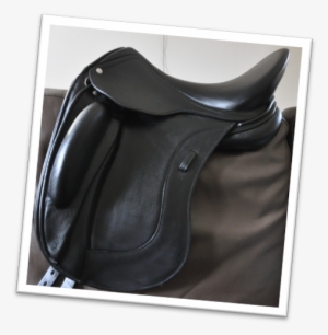 Saddle - Schleese Saddlery #2359856