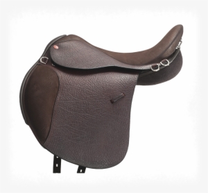 Arabian Saddle #2360466