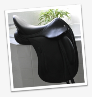 17" Schleese Obrigado Dressage Saddle - Schleese Saddlery #2360571