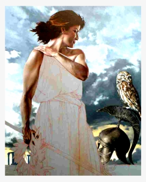 Introduction - Athena Strength #2360604 Introduction - Athena Strength #2360604