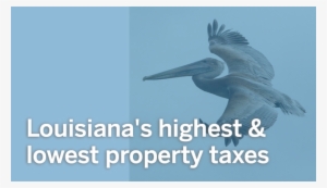 Title Slide - Louisiana #2362092
