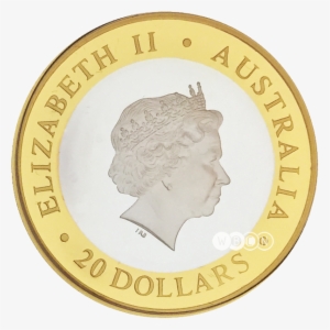 Visit - Australian Silver Kookaburra #2363344