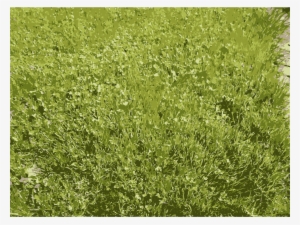 This Free Icons Png Design Of Grass Details In Missouri #2365477