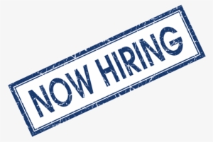 Employment Opportunities - Now Hiring Blue Transparent #2366132