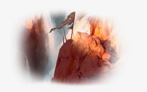 Tarkir - マジック:ザ・ギャザリング 急流の崖 / タルキール覇王譚 Ktk-243 [jpn] #2367188