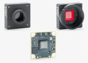 View - Camera #2368622