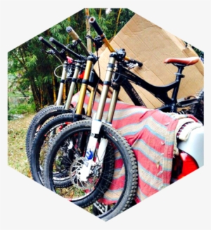 As Part Of Our Global Cycling Series, We've Asked Marina - Mountain Unicycling #2369635