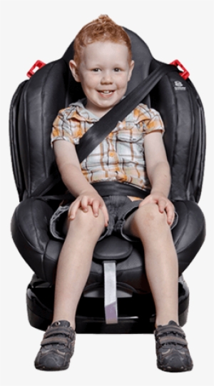 Phil&teds Evolution Convertible Car Seat - Phil & Teds Evolution Car Seat Review #2370312
