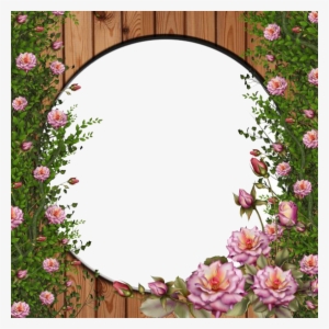 Rose Vine - Rose Flower Frames Png #2371211