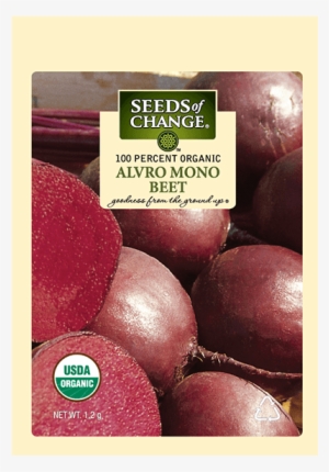 Organic Alvro Mono Beet Seeds - Detroit #2373094