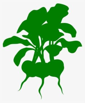 How To Set Use Green Beets Clipart #2373252