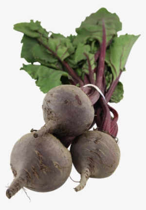 Fresh Green Top Beets - Beet #2373323