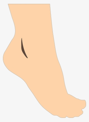 Feet Clipart Vector - Foot Clip Art Png #2374112