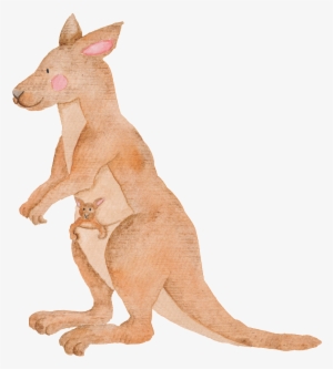Hand Painted Kangaroo Transparent Animal Png - Watercolor Australian Animals Painting #2374754