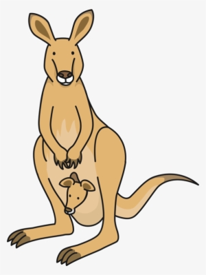 Macropods Kangaroo Drawing Mammal Diagram - Kangaroo #2374784