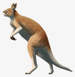 × - Procoptodon #2374947