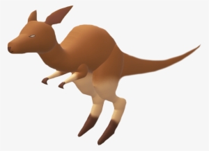 Red Kangaroo - Kangaroo #2374990