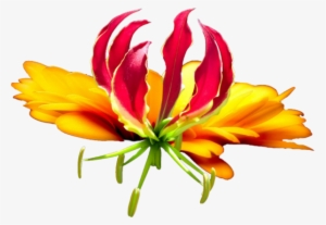 Tropical Flower #2375011