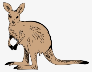 Simple Brown Kangaroo Svg Clip Arts 600 X 469 Px #2375016