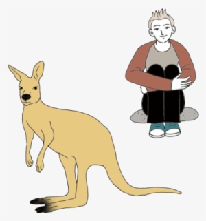 Kangaroo - Portable Network Graphics #2375365