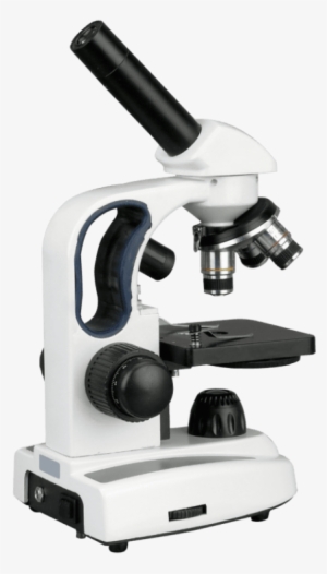 Free Png Microscope Png Images Transparent - Microscope Png #2376010