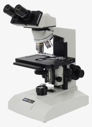 Laboratory Microscope #2376630