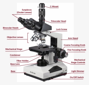 Microscope Vector - Que Es El Microscopio Animado - Free Transparent ...