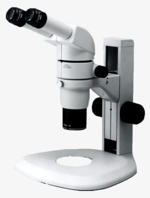 Nikon Stereomicroscope #2376789