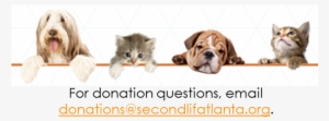Donate Page Png #2376926