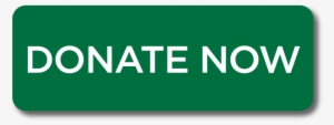 Donate Now 2-01 - Department Of Education #2376970