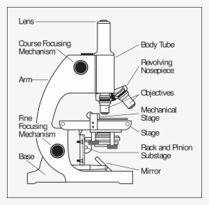Big Image - Microscope Drawing With Parts #2376992