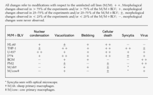 Morphological Changes In M/mjblv Seen With Electron - Peak Assignment Raman Spectra Table #2377117