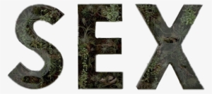 Plants Plant Plantaesthetic Tumblr Aesthetic - Plants #2377846