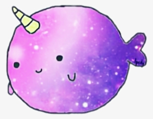 Narwhal Png Transparent Narwhal Png Image Free Download - 