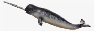 Narwhal Transparent #2380231