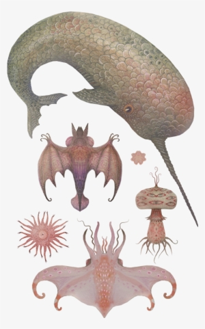 Illustrations Done For The "feast" Restaurant, Nashville, - Illustration #2380321