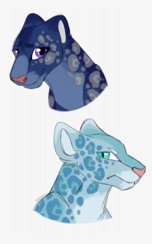 Sheena And Narwhal - Illustration #2380942