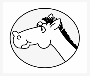 Free Stock Photos - Tete De Cheval #2382017