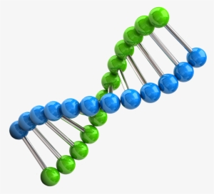 Chromosome Different Ways To Collect Dna Samples - Chromozom Png #2382827