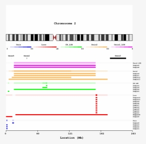 Chromosome View Per Type With Overlaps And Genes - Multi Type Recurrent Event #2383300