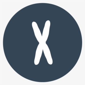 Epigenetics In Project Mine - Risk Factor #2383305