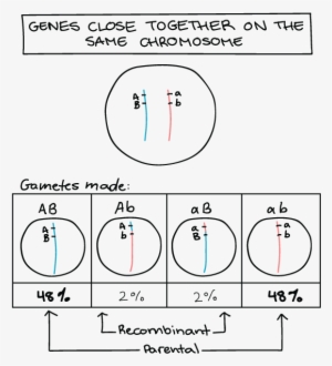 Diagram #2383509