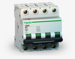 Big, Small, Common Or Rare - Schneider 4 Pole Mcb #2383631