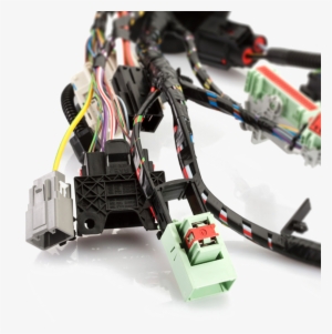 Electrical - Lear Corporation Navegantes #2383955