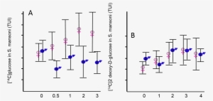 Induction By Double Stranded Rna - Double Bar Graph #2383997