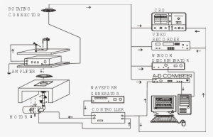 Experimental Setup For Recording And Mechanical Stimulation - Scalable Vector Graphics #2384748